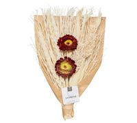 Atmosphera - Estuche de flores secas para perfumar - Modelo 3