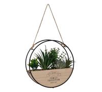 ATMOSPHERA CREATEUR D'INTERIEUR Planta Colgante Krist diámetro 20 cm con Soporte de Madera