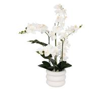 Atmosphera - Orquídea Artificial en Maceta Mick Maceta de cerámica Blanca h80cm