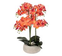 ATMOSPHERA CREATEUR D'INTERIEUR Orquídea Sanae Altura 65 cm Naranja con Maceta de cerámica BLANCOa