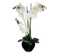 Atmosphera - Orquídea Artificial - jarrón de cerámica Negro - H53 cm