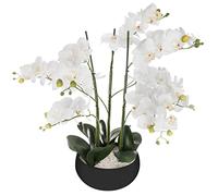 ATMOSPHERA CREATEUR D'INTERIEUR Orquídea Olla cerámica Negro H65