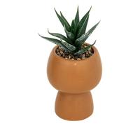 Atmosphera - Planta Artificial Livy Maceta cerámica h17cm - Terracota