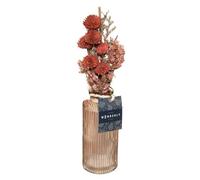 Atmosphera - Ramo de Flores secas en jarrón «Wonder» - Rosa Palido