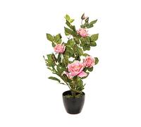 Atmosphera - Rosal Artificial - Maceta de Cemento - H50 cm - Rosado