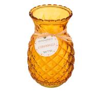 Atmosphera - Vela perfumada de citronela afrutada 600 g - Amarillo