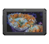 Atomos SUMO19 SE