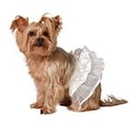 ATOSA Disfraz para Mascota tutú Blanco