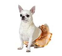 ATOSA Disfraz para Mascota tutú Naranja