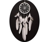 Atrapasueños, Pluma Hecha a Mano Dream Catcher, Historias en la Mitología India Americana para Colgar el Regalo del Arte de la Decoración (Blanco)