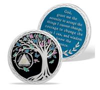 AtSKnSK 12 año de sobriedad moneda 1-20 años de sobriedad moneda AA chips y medallones sobriedad regalos para mujeres hombres alcohólicos adicción anónima recuperación regalo (12 año)