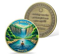 AtSKnSK Moneda de sobriedad de 5 meses de 1 a 12 meses, moneda reborn sober HA NA AA para adictos a la recuperación de fichas medallones narcóticos alcohólicos regalos anónimos para hombres y mujeres