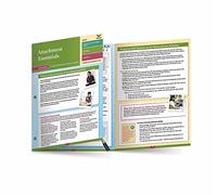 Attachment Essentials: A Mental Health Quick Reference Guide: 0 (Norton Series on Interpersonal Neurobiology)