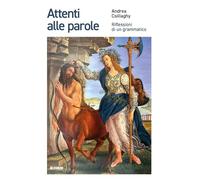Attenti alle parole. Riflessioni di un grammatico (Varia)
