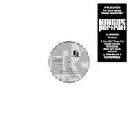 Mingus Portrait (DJ Farrapo Remixes)