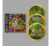 Atwood-Ferguson,Miguel - Les Jardins Mystiques Vol.1 (3cd)