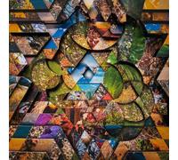 Atwood-Ferguson,Miguel - Les Jardins Mystiques Vol.1 (3cd)