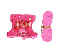 Atyhao Arnés para hámster, Juego de Chaleco Ajustable para Caminar, Correa de Plomo, arnés para Caminar, Chaleco, Juego de Correa para hámster Sirio, Ardillas, jerbos, Osos Dorados, hurón(M)