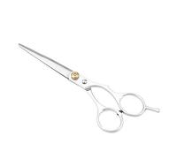 Atyhao Tijeras para Cortar el Cabello, Tijeras Profesionales para Cortar el Cabello Tijeras de peluquería para peluquería Juego de Peine para cizalla para peluquería(Tijera Regular)