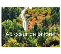 Au coeur de la forêt (Calendrier mural 2026 DIN A4 vertical), CALVENDO calendrier mensuel: Balade photographique en forêt