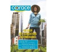 Au Coeur Des Associations Intermédiaires : Lagilité Au Service Des Per