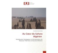 Au Coeur du Sahara Algérien: Modélisation Géologique et Pétrophysique du Réservoir TAGI dans le Bassin de Berkine