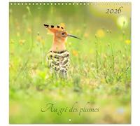 Au gré des plumes (Calendrier mural carré 2026 30x30 cm) Calendrier double avec une page pour vos prises de notes: Des oiseaux sauvages divers et variés de toute beauté.
