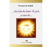 Au Nom Du Saint-esprit Je Vous Dis ... (ebook)