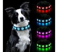 AUAUY Collar Luminoso Perro, Collar Luminoso Impermeable Recargable por USB, Ajustable Collar LED Perro para Perros Pequeños Medianos Grandes Que Caminan de Noche con Seguridad (Azul-L)
