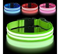 AUAUY Collar Luminoso Perro Recargable, Collar LED Doble Perro con Type-C y D Debilla de Anilla, Collar Luminoso para Perros Impermeable, Collar Perro Luz para Perros PequeñO/Mediano/Grande (Verde-S)