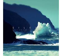 Auction For The Promise Club - Silence [VINYL] [Vinilo]