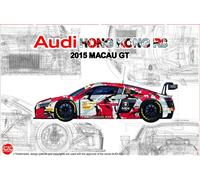 Audi Hong Kong R8 2015 Macau Gt 1:24 Plástico Modelo Kit Nunu