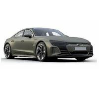 Audi Rs E-Tron Gt 2021 Aceitunas Metallic 1:18 Modelo 188380 Norev