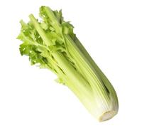 Audio Cd Paola Tagliaferro (La Compagnia Dell'es) - The Sound Of The Spheres/Il Suono Delle Sfere