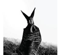 Audio Cd Pietre Dei Giganti (Le) - Veti E Culti