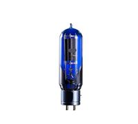 Audio HiFi WE845 + reemplazo de Tubo 845 A845 E-845 845-DG 845-TII 845-T 845-TA Kit Amplificador DIY(1 pcs)