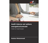 Audit interno nel settore energeticoContratti: Petrolio, Ga, Progetti energetici