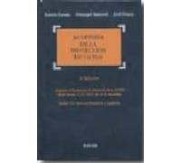 Auditoria De La Proteccion De Datos: Adaptado Al Reglamento De De Desa
