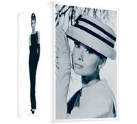 Audrey Hepburn Box [7dvd] [Ltd [Alemania]