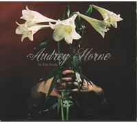 Audrey Horne - No Hay Banda