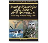 Audubon 1: Video Guide 247 Birds of North America [USA] [DVD]
