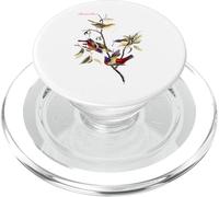 Audubon - Finch Pintado, diseño de pájaros norteamericanos PopSockets PopGrip para MagSafe