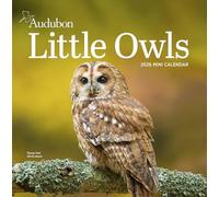 Workman Calendars – Calendario mini Audubon Little Owls 2026 – Un año de búhos esponjosos