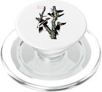 Audubon - Pájaro Carpintero de Pico Marfil PopSockets PopGrip para MagSafe