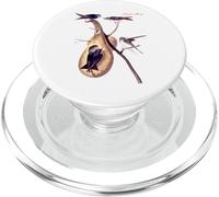 Audubon Purple Martin North American Birds Education Nature PopSockets PopGrip para MagSafe
