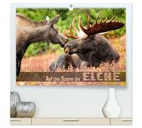 Auf den Spuren der Elche (hochwertiger Premium Wandkalender 2026 DIN A2 quer), Kunstdruck in Hochglanz: Beeindruckende Bilder wildlebender Elche verschiedener Territorien