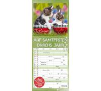 Auf Samtpfoten durch's Jahr 2027: Familienplaner mit 4 breiten Spalten. Hochwertiger Familienkalender mit Ferienterminen und Vorschau bis März 2027. 19 x 46 cm.