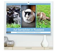 Auf Samtpfoten in Russland - Museums-Katzen auf russischen Landgütern (hochwertiger Premium Wandkalender 2026 DIN A2 quer), Kunstdruck in Hochglanz: ... den ehemaligen Landgütern russischer Dichter