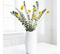 Aufisi Décoration d'eucalyptus séché, Boules de Fleurs naturelles séchées, décoration bohème pour Salon, Maison, Mariage, vases, décoration de Table