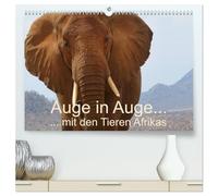 Auge in Auge mit den Tieren Afrikas (hochwertiger Premium Wandkalender 2026 DIN A2 quer), Kunstdruck in Hochglanz: Große und kleine Tiere Afrikas ganz nah